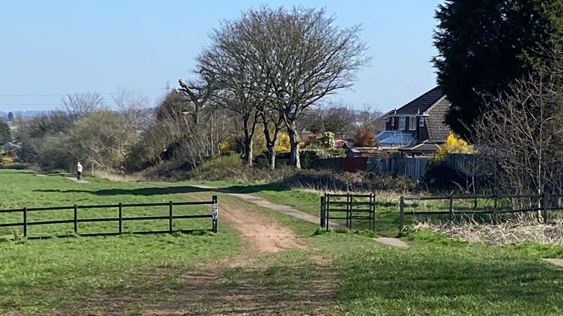 Green space to become your space thanks to new initiative Image